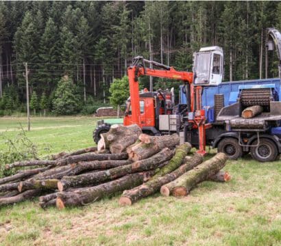Holztransporter