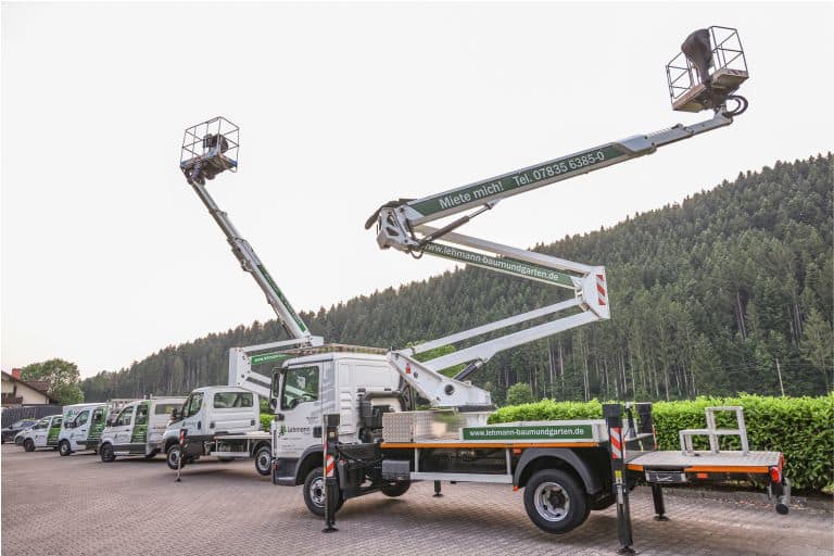 Transporter mit Kran