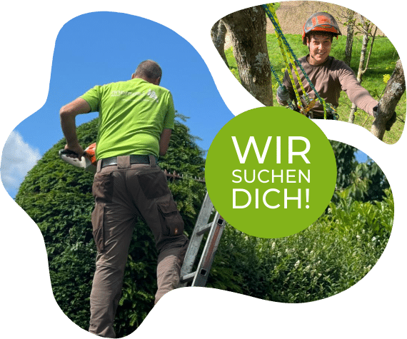 Wir suchen dich